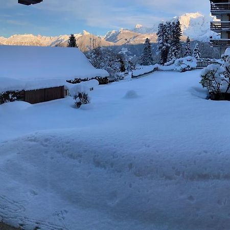 La Marmotte: Vue Mont Blanc, Terrasse, Parking Appartement Combloux Buitenkant foto
