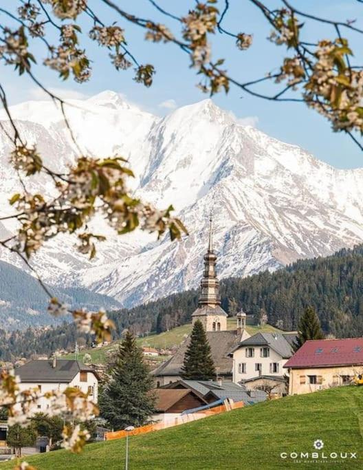 La Marmotte: Vue Mont Blanc, Terrasse, Parking Appartement Combloux Buitenkant foto