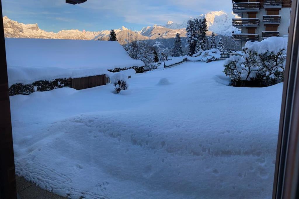 La Marmotte: Vue Mont Blanc, Terrasse, Parking Appartement Combloux Buitenkant foto