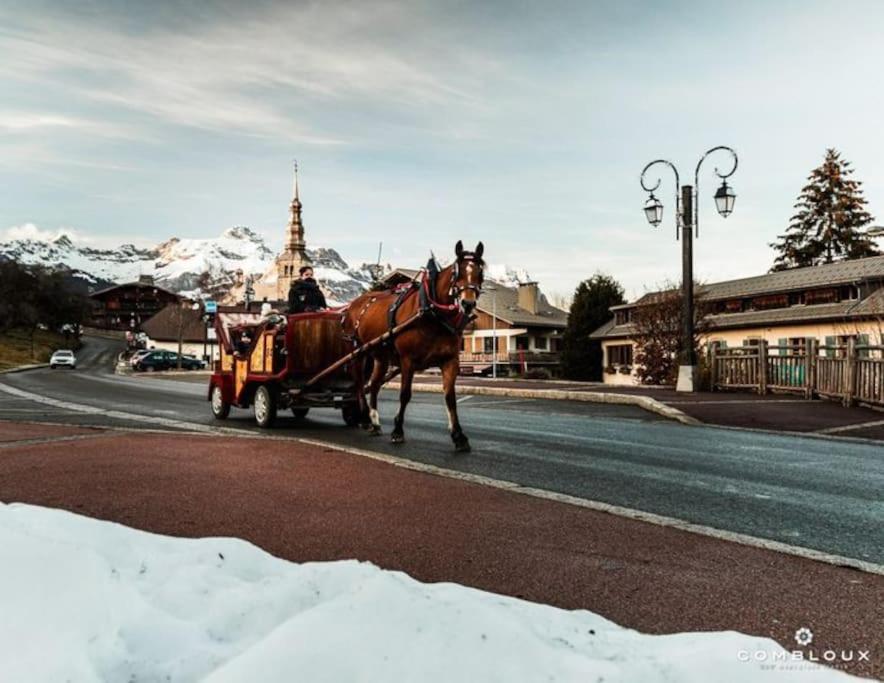 La Marmotte: Vue Mont Blanc, Terrasse, Parking Appartement Combloux Buitenkant foto