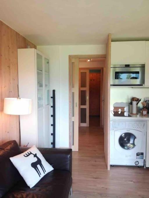 La Marmotte: Vue Mont Blanc, Terrasse, Parking Appartement Combloux Buitenkant foto